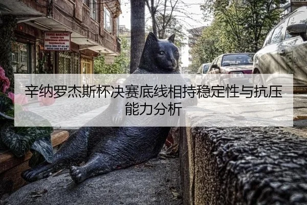 xin-na-luo-jie-si-bei-jue-sai-di-xian-xiang-chi-wen-ding-xing-yu-kang-ya-neng-li-fen-xi-2-107.jpg